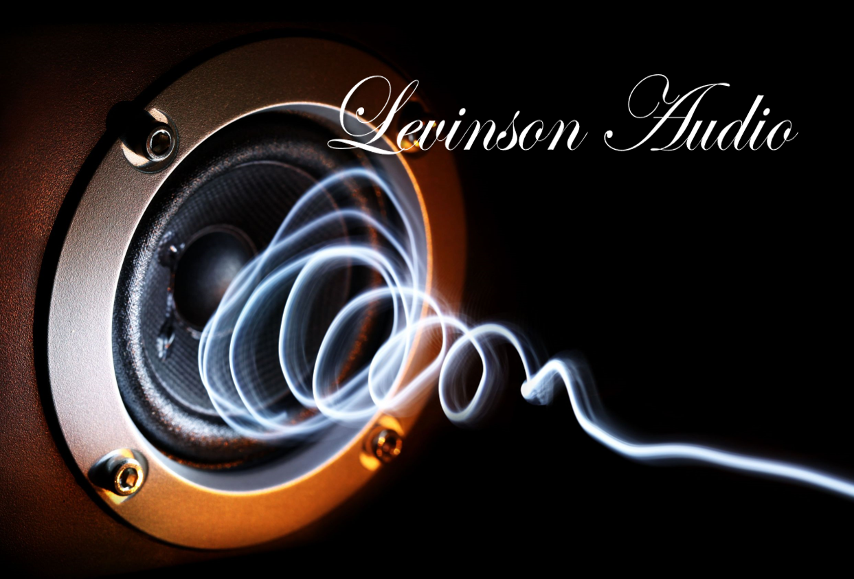 www.levinson-y.co.il