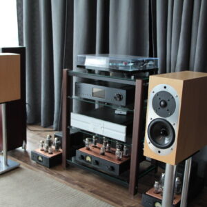 ASW Genius 100