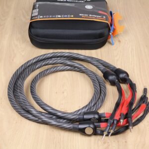 WireWorld Silver Eclipse 8 Speaker